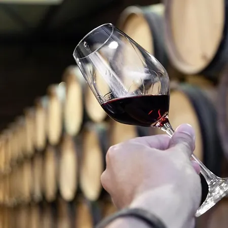 Santa Catarina Charming Loft Oporto